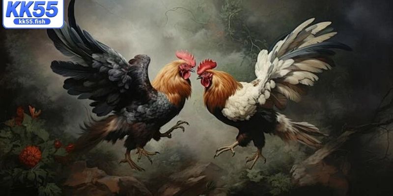 Sức hút của các trận đá gà cựa sắt tại KK55 Sức hút của các trận đá gà cựa sắt tại KK55
